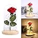 Produktbild Wallfire Beauty & The Beast Verzauberte LED Rose Glass Dome-Lampe USB-Ladeschreibtisch Rose Kupferdraht Licht Valentinstag Geburtstag Geschenk Dekoration (Color : Beige Base)