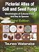 Pictorial Atlas of Soil and Seed Fungi: Morphologies of Cultured Fungi and Key to Species,Third Edition