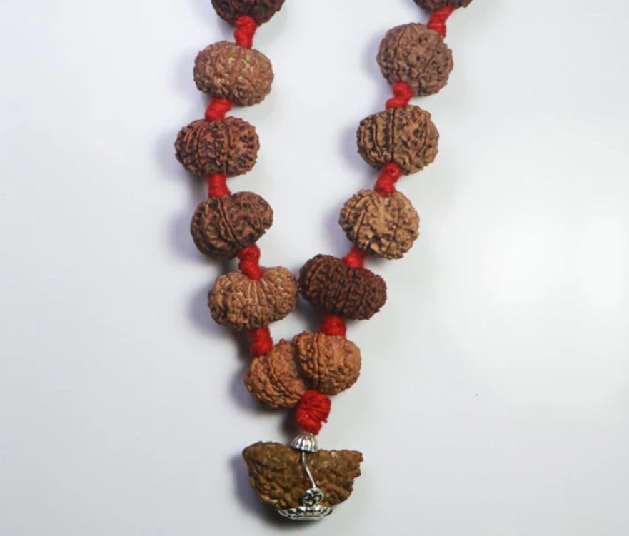 1 To 14 Mukhi Rudraksha Mala Original Certificate Sarva Siddha Mala Nepal 1 14 Mukhi Rudraksha Kantha Gauri Shankar & Ganesh एक से चौदह मुखी रुद्राक्ष माला Knotted Thread सर्वा सिद्धा माला ओरिजिनल सर्टिफाइड Natural 1 to 14 Mukhi Rudraksha Mala With Extra 5 Mukhi Rudraksha Best Combination Ek Se 14 Mukhi Nepali Rudraksha Mala For Men & Women By IRIS GEMS 1
