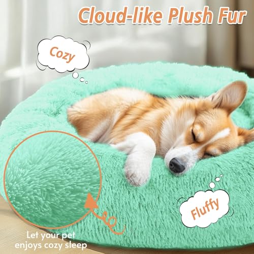 Image of JOLLYVOGUE Calming Small Dog & Cat Bed for Indoor Cats - 20 inches Washable Donut Bed for Kittens & Puppies, Anti-Anxiety Round Fluffy Plush Pet Beds (Fits up to 15 lbs, Mint Green)