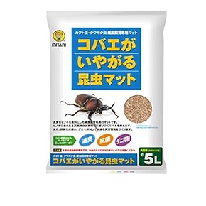 【激レア】虫ペットカブトムシ カブト クワガタ 育成ゲーム 4個セット 激レア】虫ペットカブトムシ カブト クワガタ 育成ゲーム 4個セット