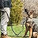 rabbitgoo Hundeleine Große Hunde, Starke Bungee Hundeleine mit 2 Gepolsterten Griff und Metallhaken, Taktische Sicherheit Hundeführleine, Elastische Ruckdämpfer Führleine, Schwarz 134-183cm