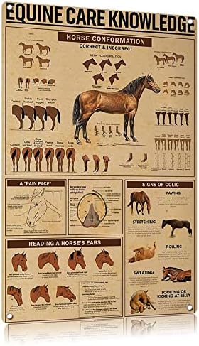 HORSE KNOWLEDGE - Letreros De Metal Vintage, Letrero De Metal Vintage, Letrero De Lata De Metal, Decoración De Pared Para Club, Cafetería, Estudio, Bar, Retro, Letrero De Hojalata, 12 X 16