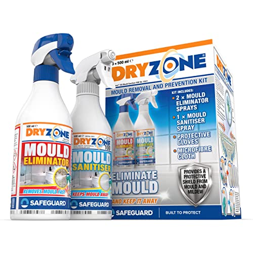 10 Best Mould Remover For Painted Walls June 2023