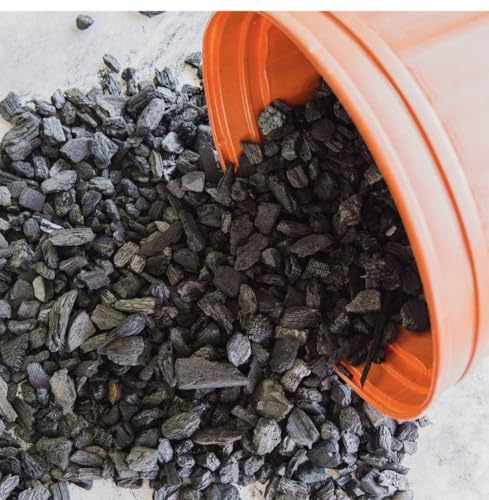 Image of Horticultural Activated Charcoal 450g for Orchid, Succulent, Adenium, Terrarium Plant & Potting Mix | Natural Soil Filter+Long Burning Coal for Havan, Barbeque Cooking & Pooja Dhoop (Pack of 1)