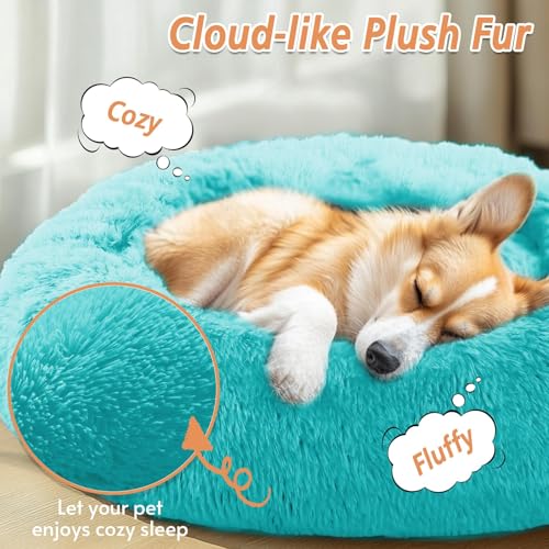 Image of JOLLYVOGUE Calming Dog Bed for Small Dogs - 23 inches Donut Washable Small Dog Bed for Kittens & Puppies, Anti-Slip Round Fluffy Plush Faux Fur Cat Beds (Fits up to 25 lbs Pets, Aqua Blue)