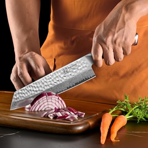 Image of 10 inch Damascus Chef Knife, Ultra Sharp 10 Edge Japanese VG10 Kiritsuke Kitchen Knife with Ash Sheath, 67 Layers Hand Forged Hammered Cooking Knife for Meat, Vegetable & Fruit, Camping & BBQ Gift