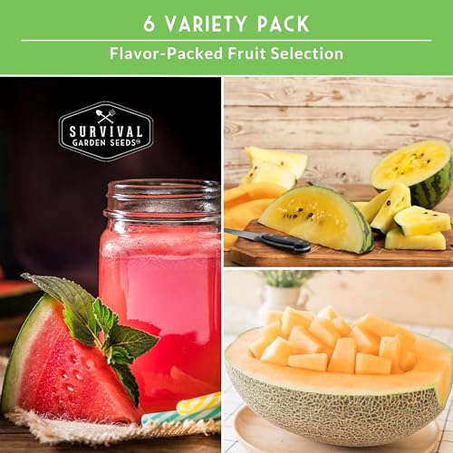 Melon Seeds for Planting, 6-Variety Pack Heirloom Fruit Collection - Image 4