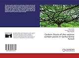 LAP LAMBERT Academic Publishing