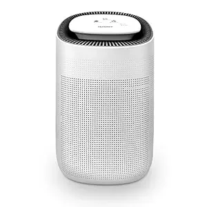 Tenergy Sorbi 1000ml Air Dehumidifier w/Air Purifying Function, True HEPA Filter, Auto Shutoff, Touch Control Adjustable Air Speed, Ultra-Quiet Allergies Eliminator, Ideal Closets Bathrooms