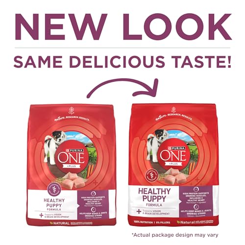 Purina ONE Plus Healthy Puppy Dry Food, Chicken, 16.5 lb Bag | High protein dog food for puppies, real chicken, DHA to support vision and brain development, antioxidants for immune support - image 2