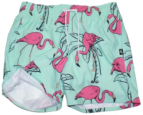 Hollister California Men's 4-Way Stretch Guard Fit Swim Trunk 5