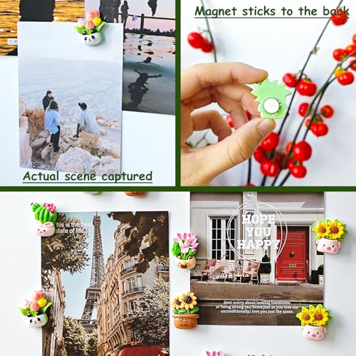 12 imanes decorativos de cactus y flores para refrigerador miniatura 5
