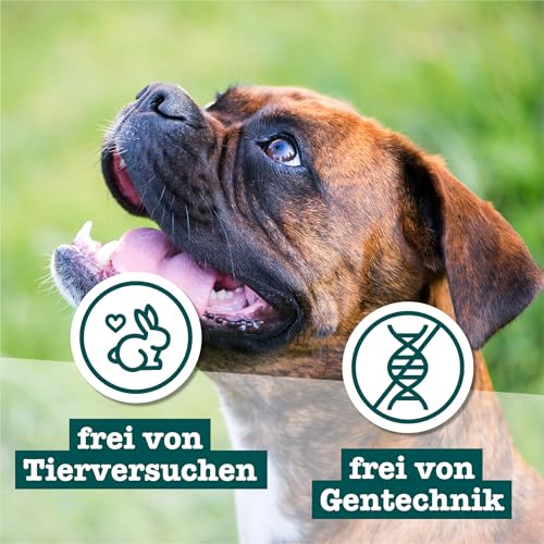 Chewies Hundeleckerli Mix - 6 x 125 g - Rind, Pansen, Geflügel, Lamm, Wild & Lachs Knöchelchen - Hundesnacks zuckerfrei & mit hohem Fleischanteil (750 g)