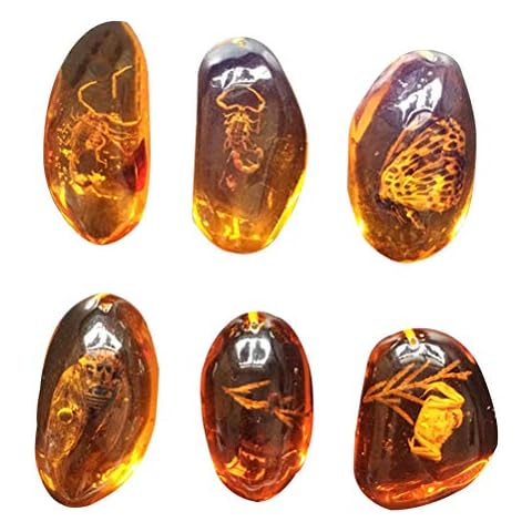 VORCOOL Amber Fossil Pendant Collection Cover