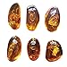 VORCOOL 5pcs Amber Fossil with Insects Samples Stones Crystal Specimens Home Decorations Collection Oval Pendant (Random Pattern)