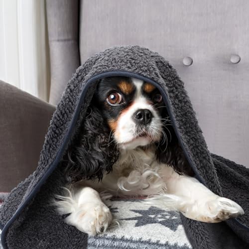 Nobleza Hundedecke Weiche Fleecedecke Waschbare Deck für Haustier Hunde Katzen Welpen Weiche Warme Matte, Grau 120 * 100cm