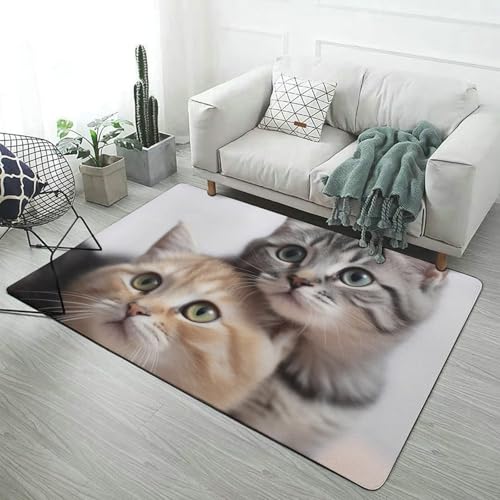 Tapis de salon lavable et antidérapant en velours corail unique