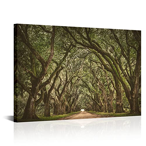 OuElegent Oak Tree Canvas Wall Art