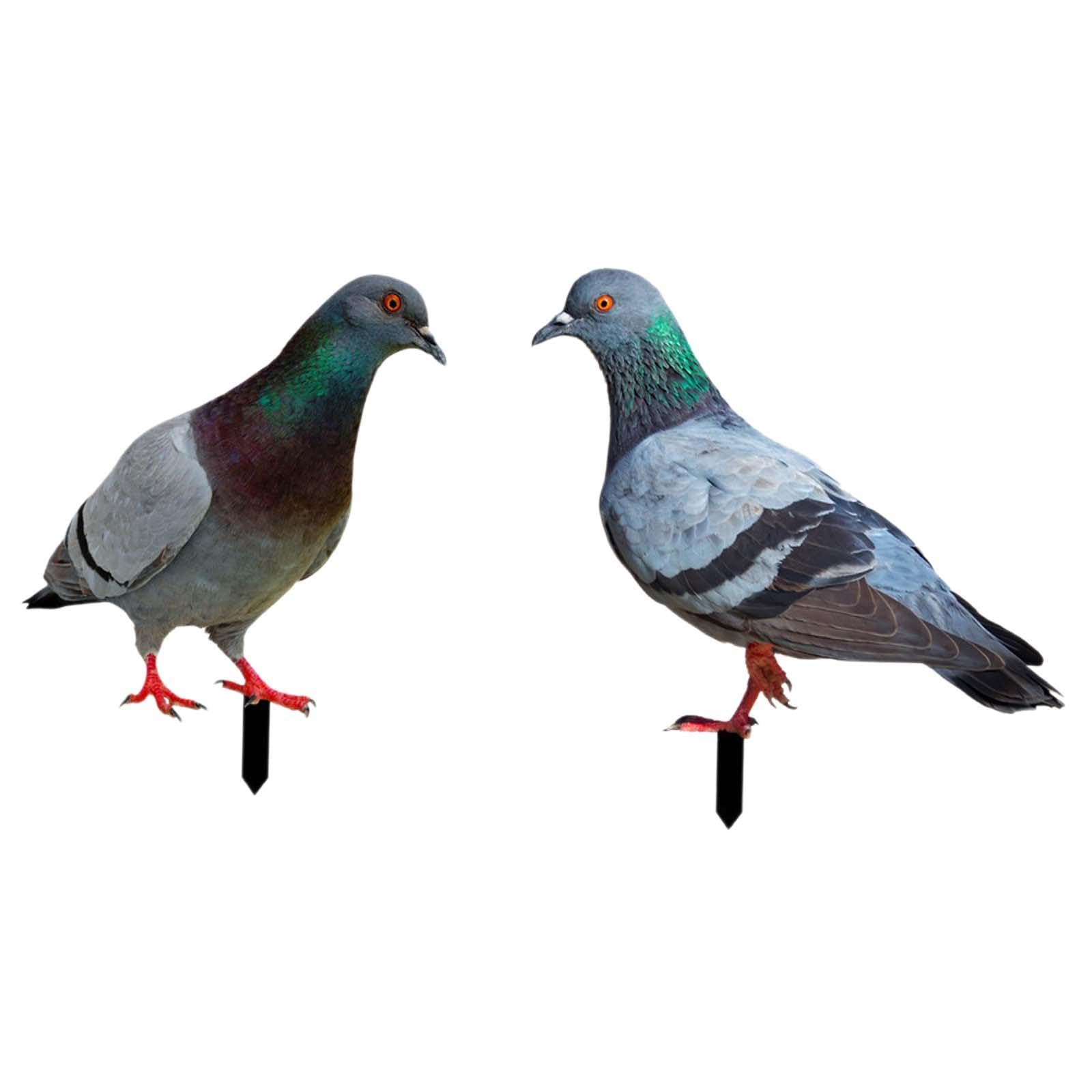 2 Statue di Piccioni da Giardino, Statuette di Uccelli da Inserire nel Terreno, Sculture di Animali Realistiche per Decorazioni da Giardino, Patio