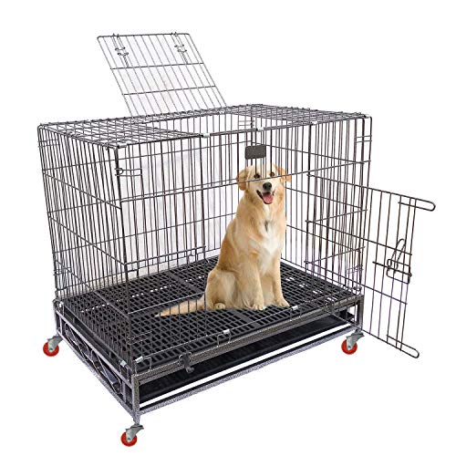 Image of Double Door Metal Wire Dog Cage with Wheels, Dog Crate, Kennel Crate Dog Cage for Dogs with Removable Tray - 36 Inch (36 Inch - Black)
