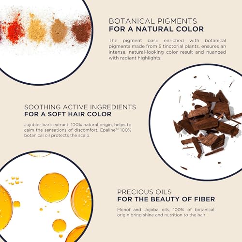 Phyto Color Kit 5.3 Castano Chiaro Dorato Colorazione Permanente Senza Ammoniaca, 100% Copertura Capelli Bianchi - 7