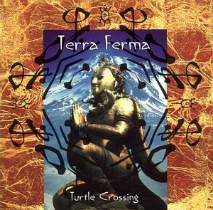 Turtle crossing [Audio CD]