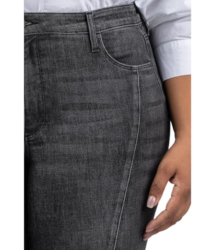 KUT from the Kloth Women's Plus Size Reese High Rise Fab Ab Ankle Straight in Create3