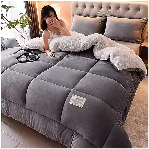 Edredón cálido de terciopelo de doble cara, edredón esponjoso de felpa, grueso para otoño y primavera, diseño reversible, apto para 2-5 kg de peso, 180 x 220 cm
