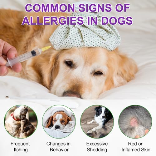 Allergie-Leckerli für Hunde, Allergy Immunity für Hunde, Immun-Leckerli Gegen Juckreiz, Lindert Saisonale Allergien, Fördert Gesunde Haut und Gesundes Fell, Pekingenten-Geschmack, 150 Stück