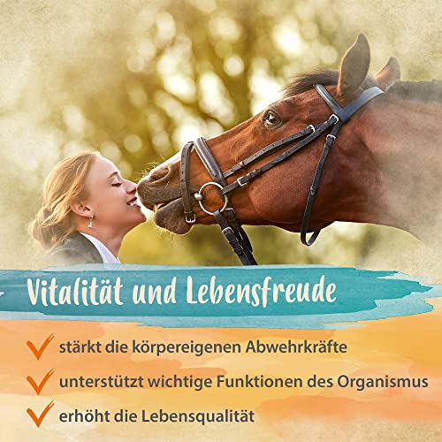 Ida Plus - Reines Bierhefe-Pulver - 3 kg - 100% Naturprodukt für Hunde, Katzen & Pferde - Futterergänzung für glänzendes Fell & kräftige Haut - reich an B-Vitaminen, Mineralien & Spurenelemente