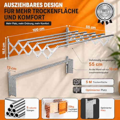 TEHORNEO Wäscheständer Wandmontage 100 cm, Wäschetrockner Wand aus Edelstahl, Wandtrockner Ausziehbar, Wäscheständer Wand, Wandwäschetrockner, Wandtrockner Ausziehbar 25 kg Tragfähigkeit