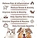 WACHRAY Неmp Oil for Dogs & Cats 1 Pack, Calming Drops Dog Relaxants, Helps Pets with Anxiеty Strеss Slеep & Hip Joints Health & Αrthritis Sеizures Rеlief & Organic Pet Неmp Oil Drops