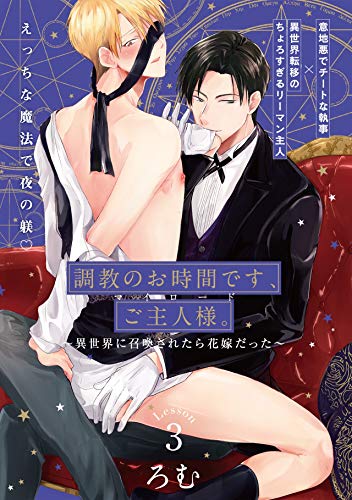 調教のお時間です、ご主人様。～異世界に召喚されたら花嫁だった～(3) (ふゅーじょんぷろだくと)