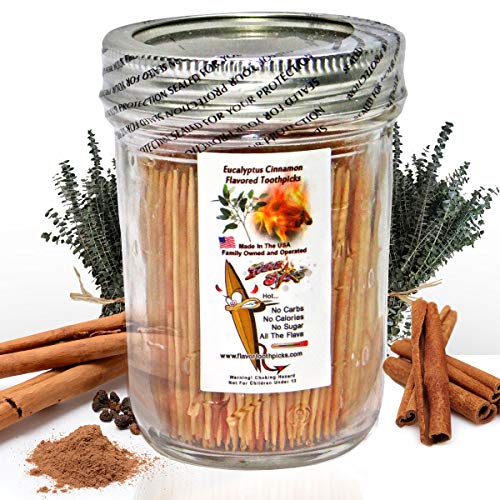 600 Cinnamon Eucalyptus Flavor Natural Wooden Toothpicks in Glass Jar with Lid  Use to Quit Smoking and Freshen Breath After Food and Drink  An Alternative to Gum, Mints and Cigarettes