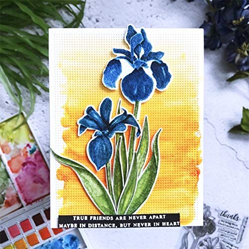 Matrice de découpe fleurs 7,1x10,4 cm pour scrapbooking précis