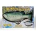 Big Mouth Billy Bass 1998 – NEUF Dans Sa Boîte D’origine, The Singing Sensation