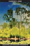 Cadence 2020: Florida State Poets Association Anthology 38