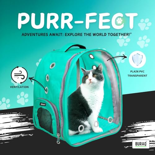 Image of Risan Buraq Pets Pet Backpack Transparent Cat & Small Dog Puppy Kitty Shihtzu Carriers for Breathable Airline Travel Approved Air Ventilation Backpack Size 17 x 13 x 11 inch Yellow (Seagreen)