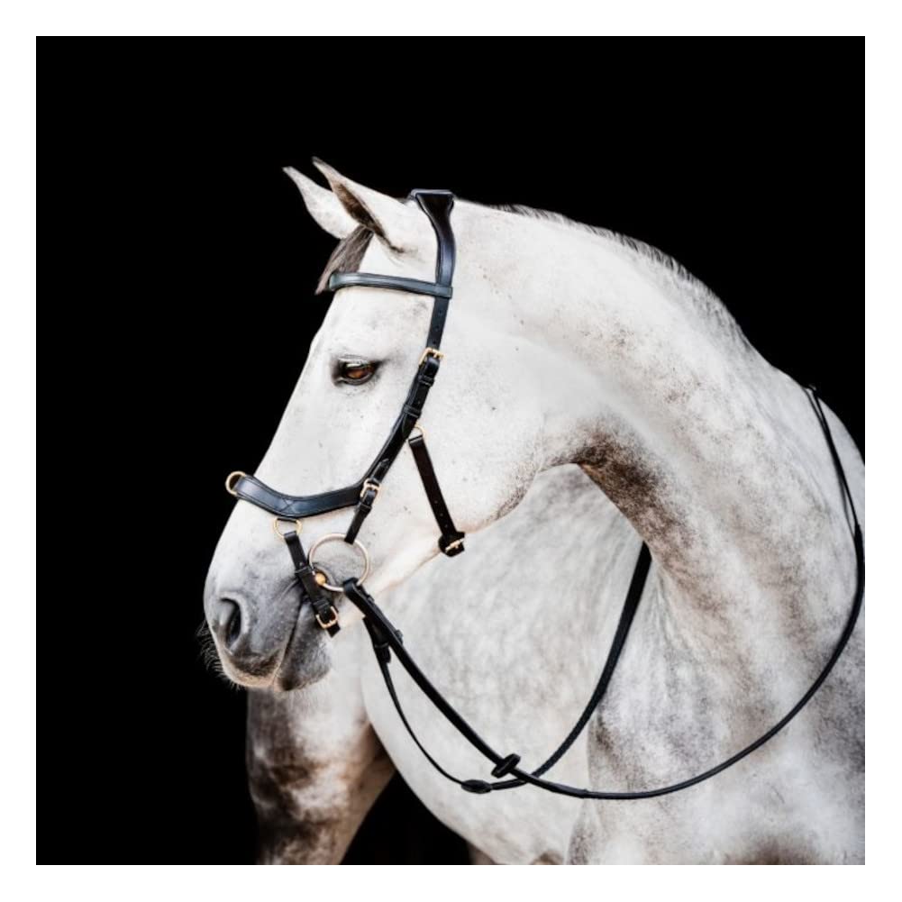 Horseware Ireland Micklem 2 Multi Bridle Black Standard