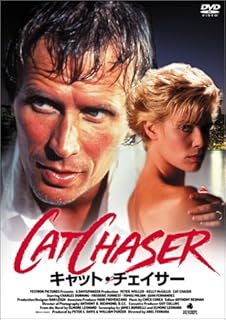 キャット・チェイサーのイメージ画像１