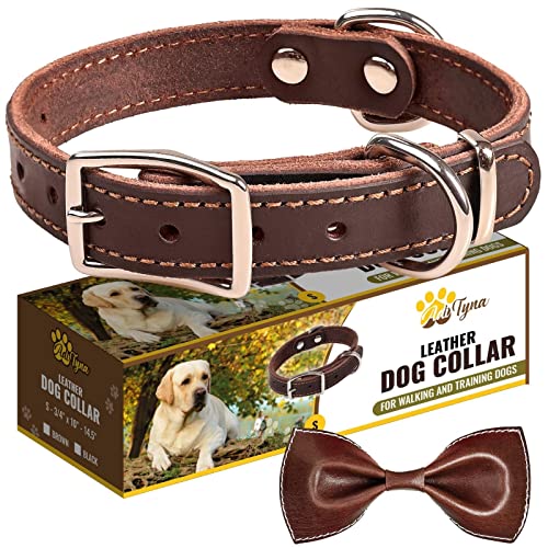 Heavy Duty Leather Dog Collar For Small Dogs - Soft And Strong Dog Collar For Puppy Or Small Dogs (Small: Fit 10" - 14.5" Neck, Brown) #TOP6