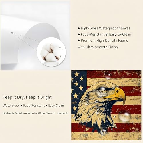Affiches Décoratives pour Maison Aigle et Drapeau USA - 7