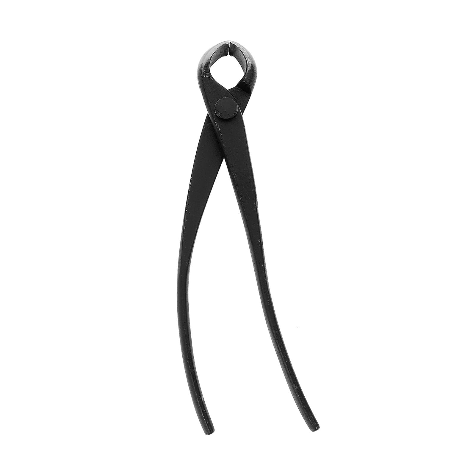 Incision propre avec la pince à couper bonsaïs BETOOKY outil rond de jardinage