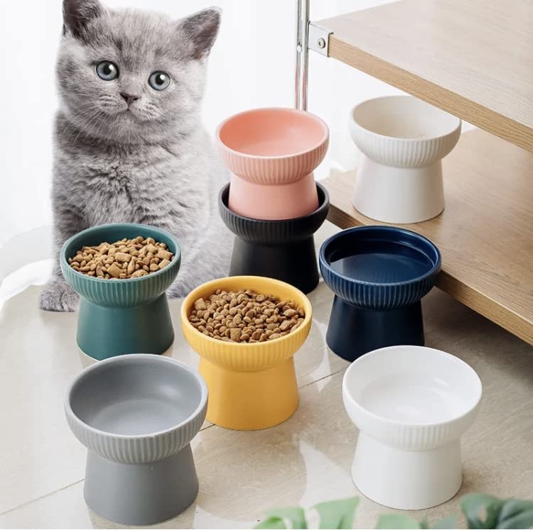 Image of PETANGEL Ceramic Cat Food Or Water Bowl,Raised Cat Feeder Dishes with Stand,Elevated Pet Food Bowl for Cats & Small Dogs,Stress Free Backflow Prevention,Anti Vomiting & Reduce Neck Burden(Mint Green)