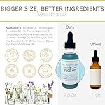 Yellow Bird Balancing Blue Tansy Face Oil 2 oz / 59 ml – Skin Glowing Serum. Collagen Support. Promotes Clear Skin Naturally. Wrinkle, Blemish & Pore Minimizer. Natural, Vegan Facial Moisturizer. - Image 2