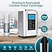 AGWIM Alkaline Water Ionizer Machine 729, Built-in a Filter, Produces pH 4-10.5 Water, 7 Water Settings, Up to -570mV ORP, 8000L Per Filter, Silver