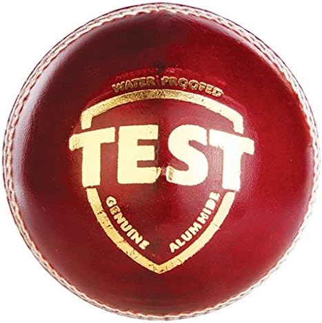 SG Leather Cricket Ball (Red)