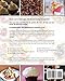 Keto Desserts Cookbook #2019: Delicious, Low-Carb, Fat Burning and Healthy Ketogenic Desserts For Everyone (Keto Fat Bombs)