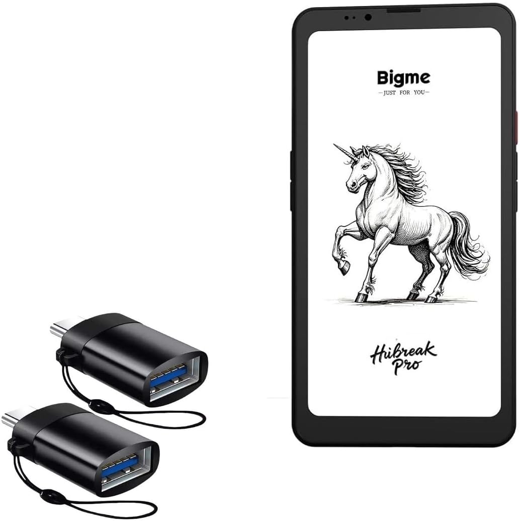BoxWave Cable Compatible with Bigme HiBreak Pro (6.13 in) - USB-C to A PortChanger (2-Pack), USB Type-C OTG USB Portable Keychain - Slate Black